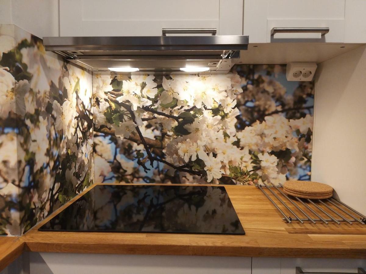 Studiohuoneisto Lohjan Keskusta 2 Exteriér fotografie