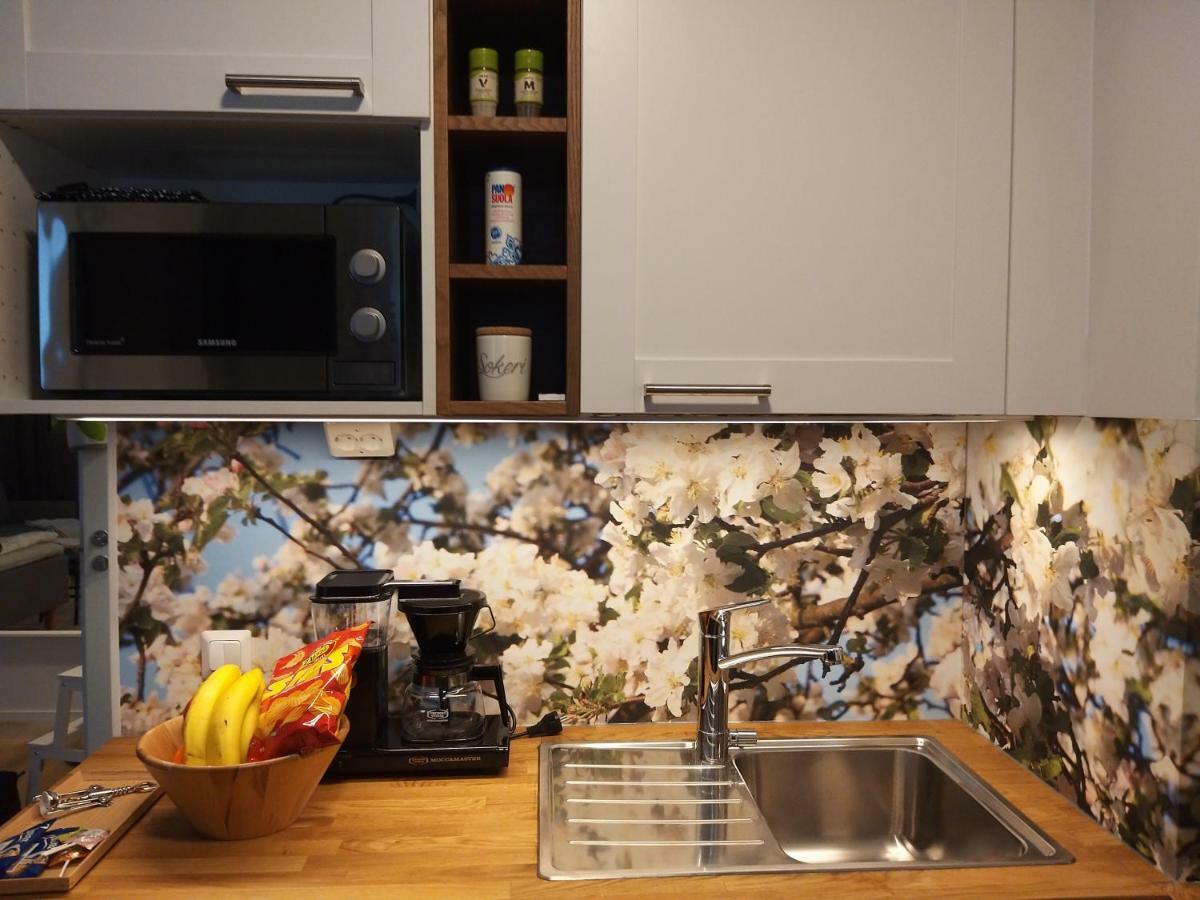 Studiohuoneisto Lohjan Keskusta 2 Exteriér fotografie